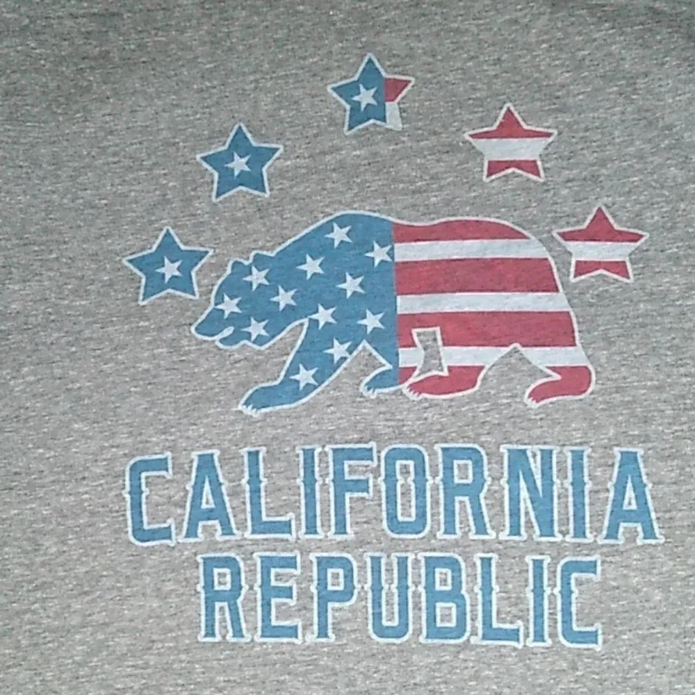 California Republic Star Spangled Bear